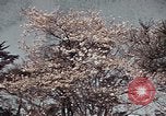 Image of British Embassy Tokyo Japan, 1937, second 60 stock footage video 65675045643