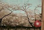 Standbild Yasukuni Jinja Tokio Japan, 1937, aus Sekunde 27 historischem Filmmaterial Videoclip 65675045644