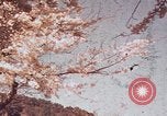Immagine di Penisola di Izu Giappone Atami, 1937, secondo 10 filmato di repertorio 65675045645