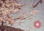 Immagine di Penisola di Izu Giappone Atami, 1937, secondo 13 filmato di repertorio 65675045645