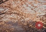 Immagine di Penisola di Izu Giappone Atami, 1937, secondo 40 filmato di repertorio 65675045645