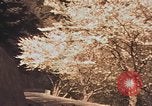 Immagine di Penisola di Izu Giappone Atami, 1937, secondo 53 filmato di repertorio 65675045645