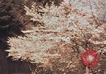 Immagine di Penisola di Izu Giappone Atami, 1937, secondo 57 filmato di repertorio 65675045645