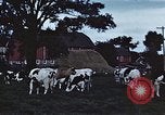 Image of American farmers United States USA, 1942, second 13 stock footage video 65675045647