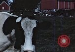 Image of American farmers United States USA, 1942, second 17 stock footage video 65675045647