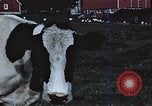 Image of American farmers United States USA, 1942, second 18 stock footage video 65675045647