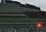 Image of American farmers United States USA, 1942, second 28 stock footage video 65675045647