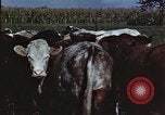 Image of American farmers United States USA, 1942, second 37 stock footage video 65675045647