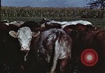 Image of American farmers United States USA, 1942, second 38 stock footage video 65675045647