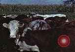 Image of American farmers United States USA, 1942, second 40 stock footage video 65675045647