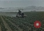 Image of American farmers United States USA, 1942, second 62 stock footage video 65675045647
