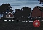 Image of American farmers produce for World War 2 United States USA, 1942, second 13 stock footage video 65675045648