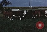 Image of American farmers produce for World War 2 United States USA, 1942, second 51 stock footage video 65675045648