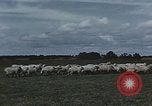 Image of American farmers produce for World War 2 United States USA, 1942, second 57 stock footage video 65675045648