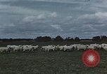 Image of American farmers produce for World War 2 United States USA, 1942, second 58 stock footage video 65675045648