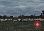 Image of American farmers produce for World War 2 United States USA, 1942, second 60 stock footage video 65675045648
