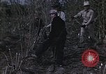 Image of Hemp dried milk and egg production for World War 2 United States USA, 1942, second 8 stock footage video 65675045649