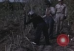 Image of Hemp dried milk and egg production for World War 2 United States USA, 1942, second 9 stock footage video 65675045649
