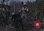 Image of Hemp dried milk and egg production for World War 2 United States USA, 1942, second 15 stock footage video 65675045649