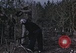 Image of Hemp dried milk and egg production for World War 2 United States USA, 1942, second 16 stock footage video 65675045649