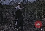 Image of Hemp dried milk and egg production for World War 2 United States USA, 1942, second 18 stock footage video 65675045649