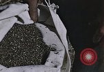Image of Hemp dried milk and egg production for World War 2 United States USA, 1942, second 33 stock footage video 65675045649