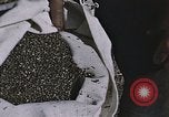 Image of Hemp dried milk and egg production for World War 2 United States USA, 1942, second 34 stock footage video 65675045649