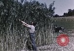 Image of Hemp dried milk and egg production for World War 2 United States USA, 1942, second 42 stock footage video 65675045649