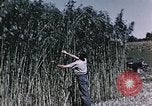 Image of Hemp dried milk and egg production for World War 2 United States USA, 1942, second 45 stock footage video 65675045649