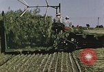 Image of Hemp dried milk and egg production for World War 2 United States USA, 1942, second 50 stock footage video 65675045649