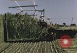Image of Hemp dried milk and egg production for World War 2 United States USA, 1942, second 51 stock footage video 65675045649