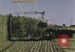 Image of Hemp dried milk and egg production for World War 2 United States USA, 1942, second 52 stock footage video 65675045649