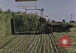 Image of Hemp dried milk and egg production for World War 2 United States USA, 1942, second 54 stock footage video 65675045649