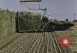 Image of Hemp dried milk and egg production for World War 2 United States USA, 1942, second 55 stock footage video 65675045649