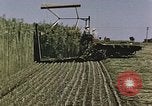 Image of Hemp dried milk and egg production for World War 2 United States USA, 1942, second 56 stock footage video 65675045649