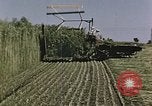 Image of Hemp dried milk and egg production for World War 2 United States USA, 1942, second 57 stock footage video 65675045649