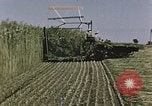 Image of Hemp dried milk and egg production for World War 2 United States USA, 1942, second 58 stock footage video 65675045649