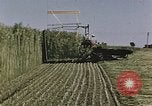 Image of Hemp dried milk and egg production for World War 2 United States USA, 1942, second 59 stock footage video 65675045649