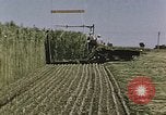 Image of Hemp dried milk and egg production for World War 2 United States USA, 1942, second 60 stock footage video 65675045649
