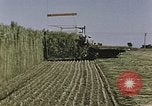 Image of Hemp dried milk and egg production for World War 2 United States USA, 1942, second 61 stock footage video 65675045649