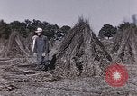 Image of Hemp dried milk and egg production for World War 2 United States USA, 1942, second 62 stock footage video 65675045649
