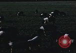 Image of War time pork beef and sugar production in America United States USA, 1942, second 12 stock footage video 65675045650