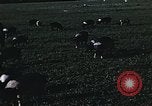 Image of War time pork beef and sugar production in America United States USA, 1942, second 17 stock footage video 65675045650