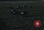 Image of War time pork beef and sugar production in America United States USA, 1942, second 18 stock footage video 65675045650