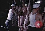Image of War time pork beef and sugar production in America United States USA, 1942, second 30 stock footage video 65675045650