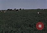Image of War time pork beef and sugar production in America United States USA, 1942, second 61 stock footage video 65675045650