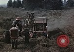 Image of Experimental crops and Victory Gardens World War 2 United States USA, 1942, second 8 stock footage video 65675045651