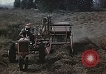 Image of Experimental crops and Victory Gardens World War 2 United States USA, 1942, second 9 stock footage video 65675045651