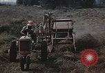 Image of Experimental crops and Victory Gardens World War 2 United States USA, 1942, second 10 stock footage video 65675045651