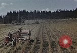 Image of Experimental crops and Victory Gardens World War 2 United States USA, 1942, second 12 stock footage video 65675045651
